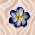 Aegean Flower Sticker